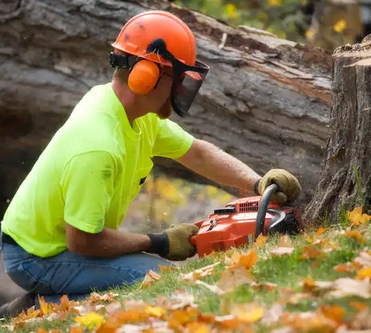 tree services Biscoe